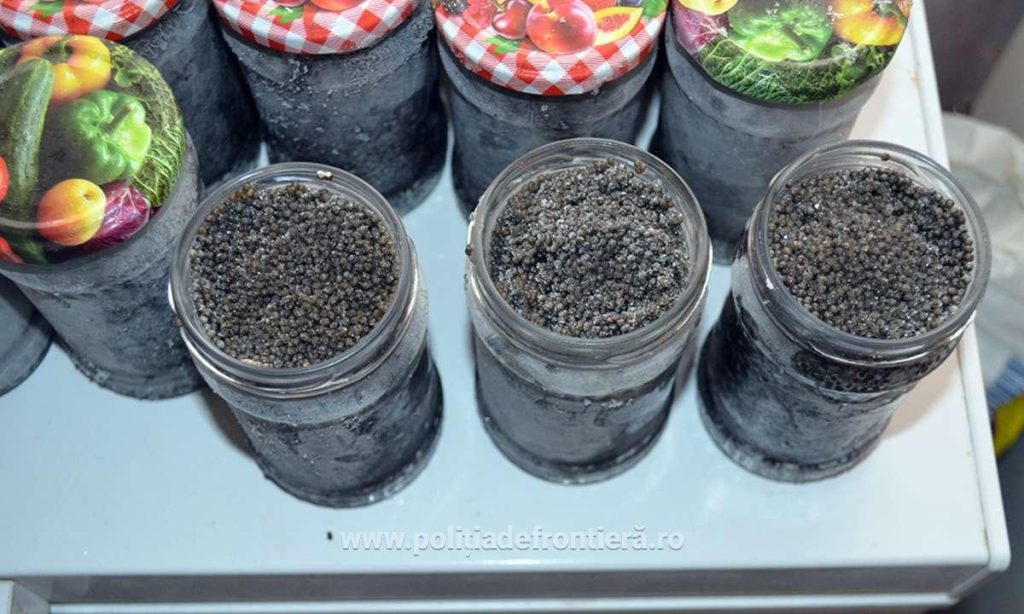 Caviar și sturion, captură ilegală a Poliției de Printieră